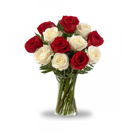 Always Love - 12 Stems Vase